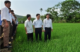 Xây dựng Đảng gắn với phát triển kinh tế, xã hội ở Bắc Quang